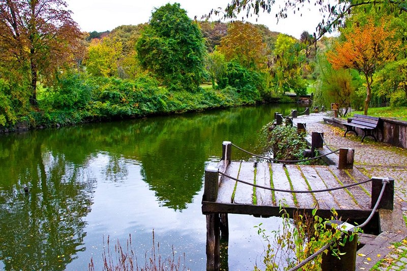 ATATÜRK ARBORETUMU YÜRÜYÜŞÜ