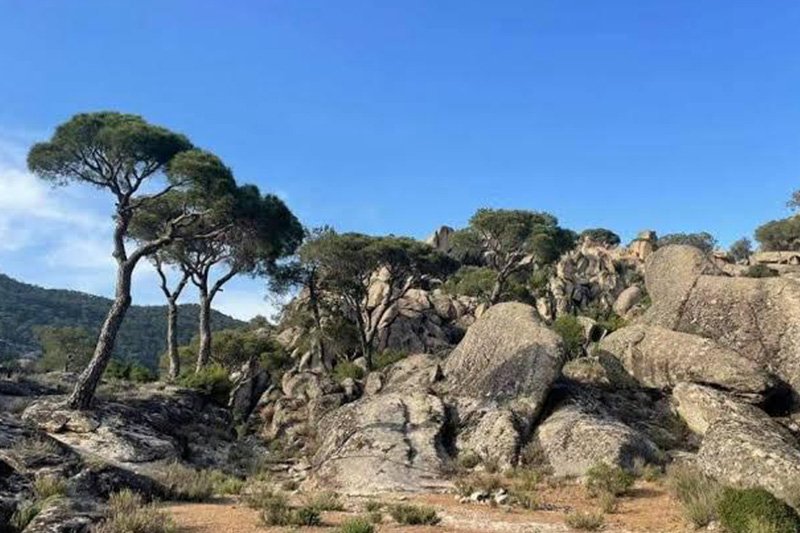 ŞİRİNCE-BAFA GÖLÜ-KAPIKIRI-LATMOS ZİRVE