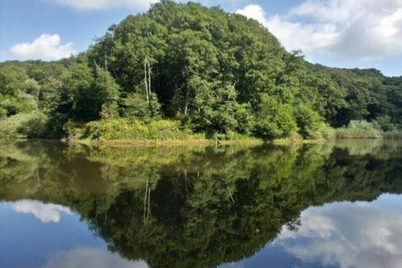 BELGRAD ORMANI 4 BEND DOĞA YÜRÜYÜŞÜ