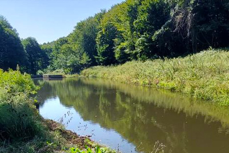 ÇATALCA BİNKILIÇ KÖYÜ DOĞA YÜRÜYÜŞÜ