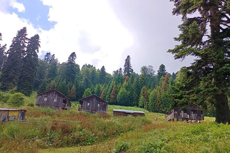 ÇİĞDEM, BEŞOLUK VE DİKMEN YAYLALARI SPORTİF DOĞA YÜRÜYÜŞÜ