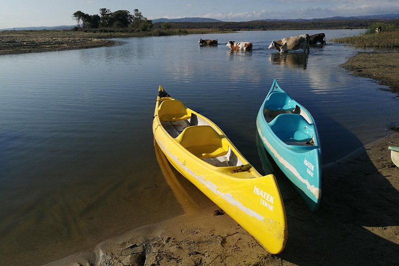 İĞNEADA LONGOZ ORMANLARI DOĞA YÜRÜYÜŞÜ