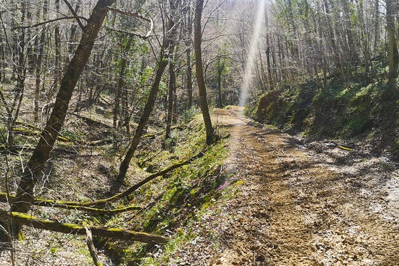 KİRAZLIBENT DOĞA YÜRÜYÜŞÜ