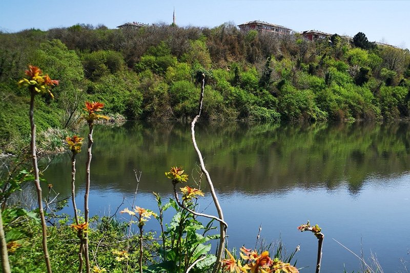 MAVRAMOLOZ ORMANI DOĞA YÜRÜYÜŞÜ