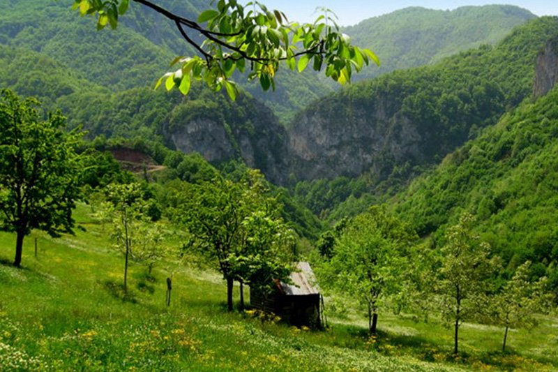 MENEKŞE YAYLASI DOĞA YÜRÜYÜŞÜ