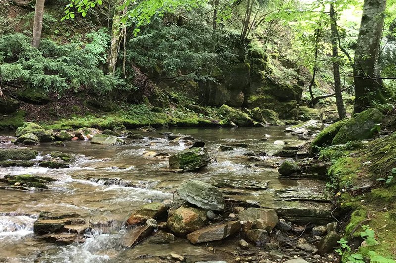 MONOPETRA KAYALIKLARI VE ŞELALELERİ DOĞA YÜRÜYÜŞÜ