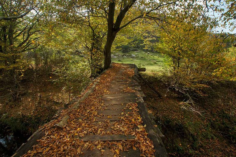 SARIKAVAK KALESİ DOĞA YÜRÜYÜŞÜ