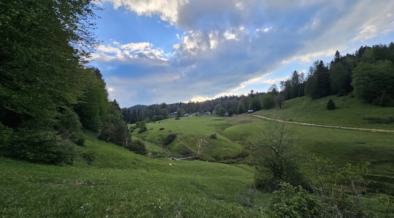 SAKARYA YAYLALARI DOĞA YÜRÜYÜŞÜ etkinliği galerisi - Görsel 3
