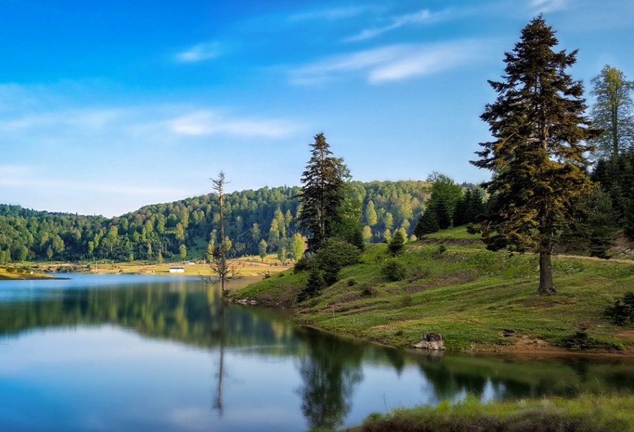 SAKARYA YAYLALARI DOĞA YÜRÜYÜŞÜ