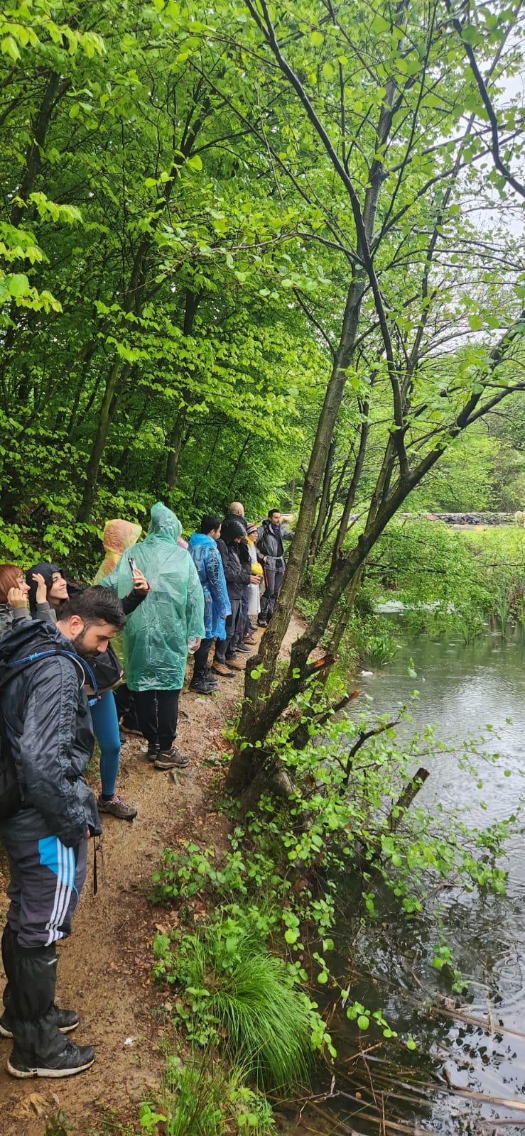 ALEMDAĞ ORMANI DOĞA YÜRÜYÜŞÜ etkinliği galerisi - Görsel 4